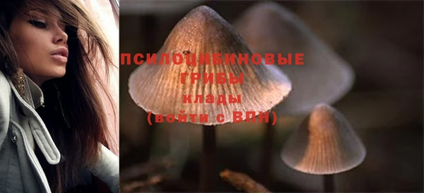 гидра Костерёво