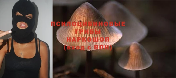 прущие крисы Коряжма