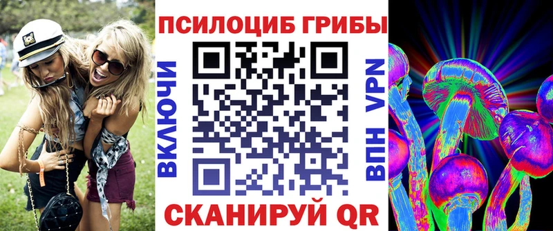Купить закладки  Каргополь  Галлюциногенные грибы прущие грибы 